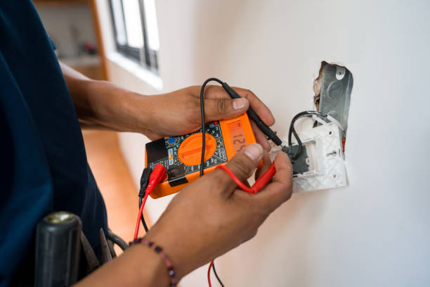 Best Electrician for Home Renovation  in Thomasboro, IL